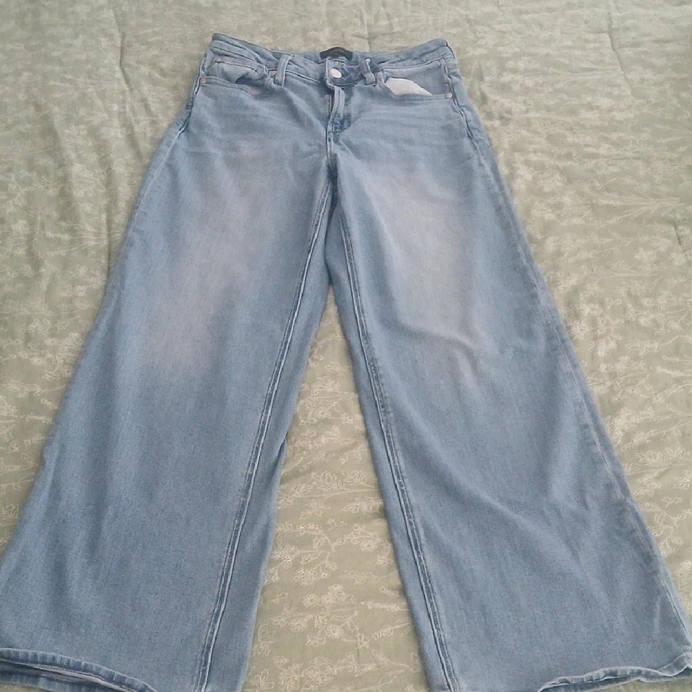 Quince  Organic Cotton Light Blue Flare Jeans